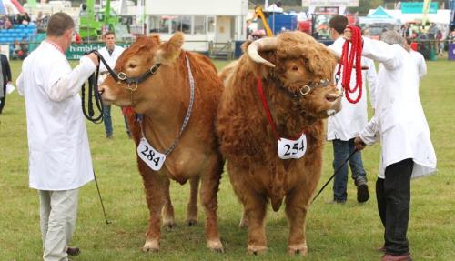Trade at Newbury Show 2024