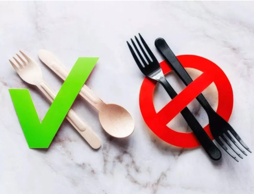 Single-use plastics ban