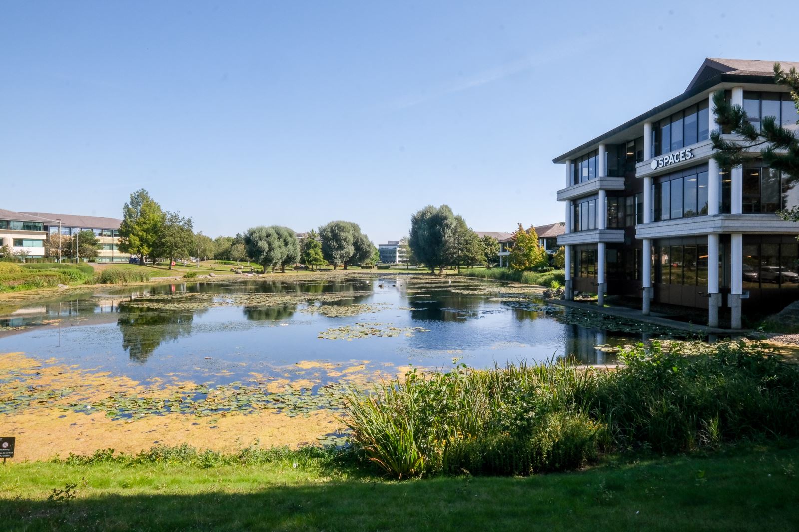 Shared office building next to a lake 