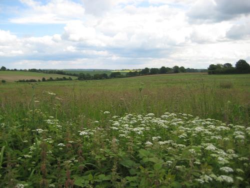Berkshires Local Nature Recovery Strategy