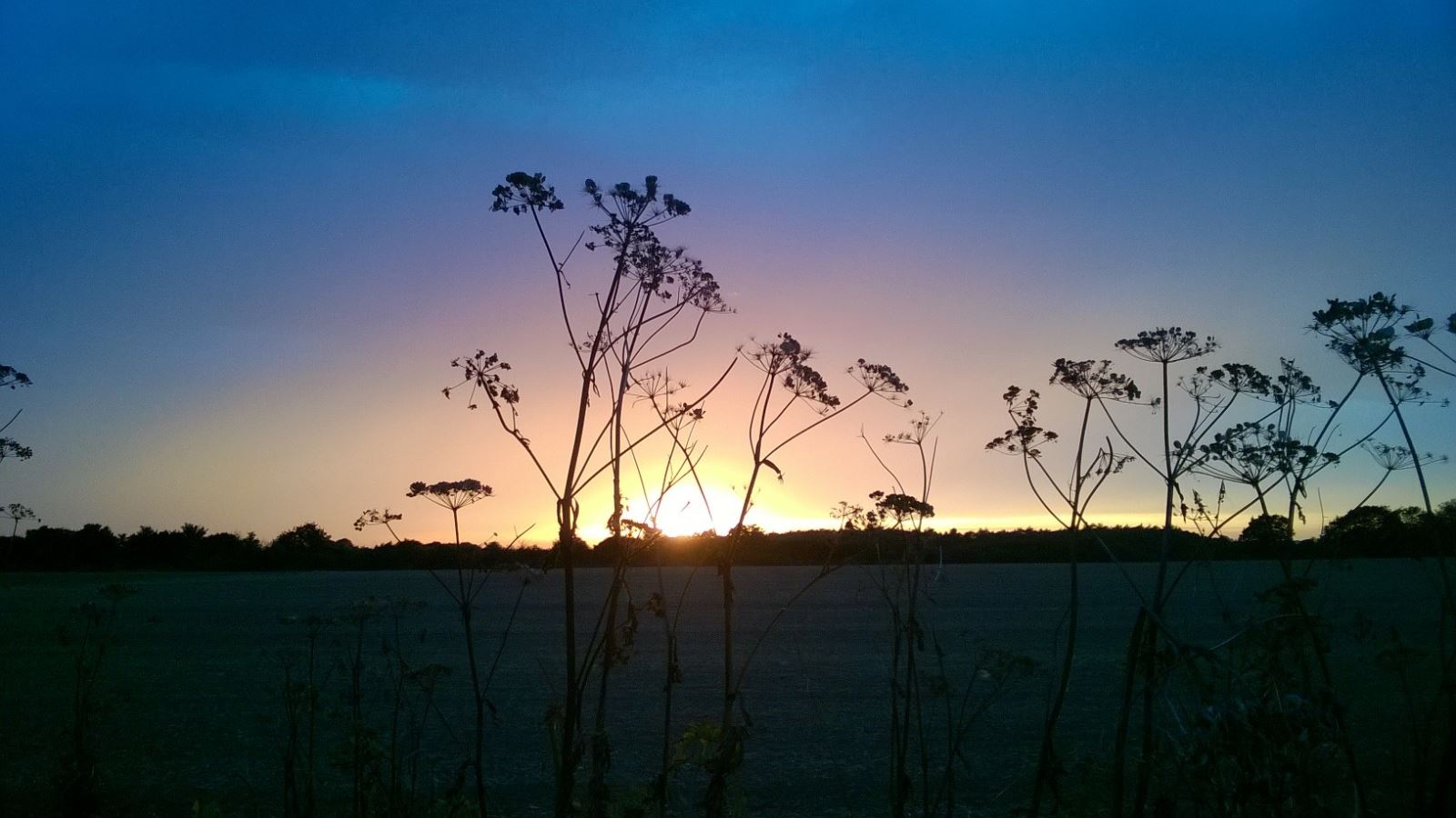 Sunrise at a country park