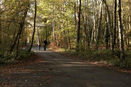 Rural Prosperity Fund