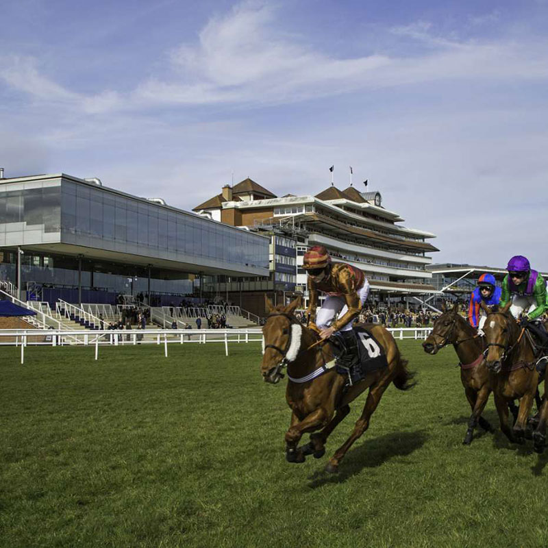 Newbury Racecourse Race Day